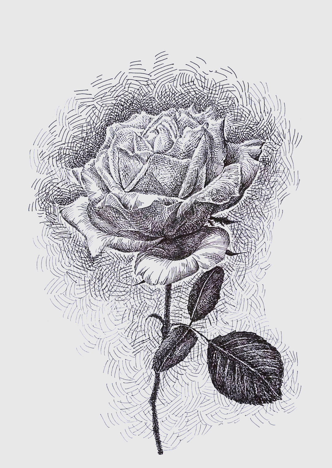 小进教你画玫瑰,2.5小时轻松搞定