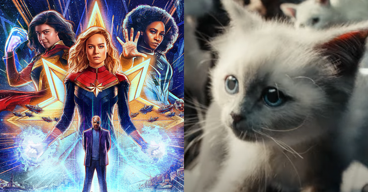 《惊奇队长2》正式预告,海报公开!一大票外星猫咪萌翻整部影片