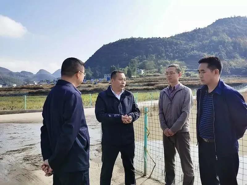 "先行者"龙通成:扛起"头雁"之旗 勇担"攻坚"之责