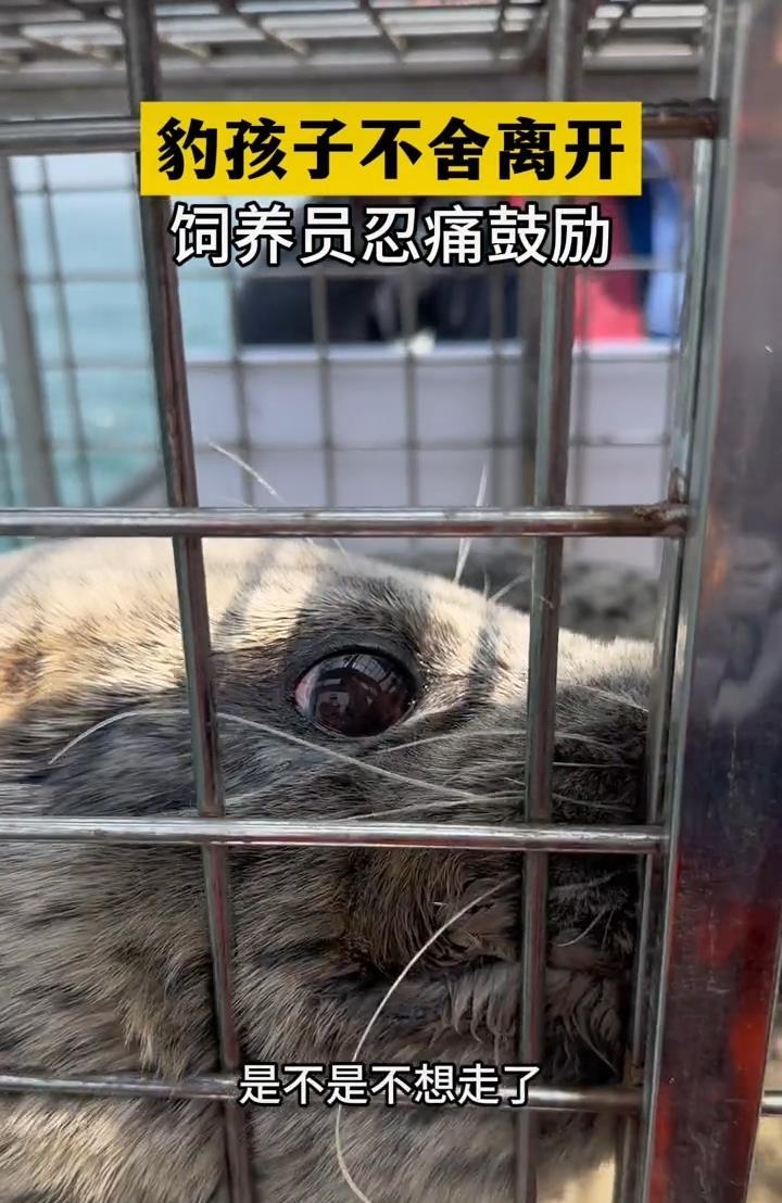 微信图片_2025-06-06_183430_745.jpg