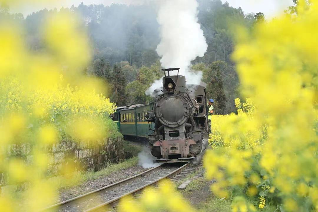 春天一定要去嘉阳坐小火车!