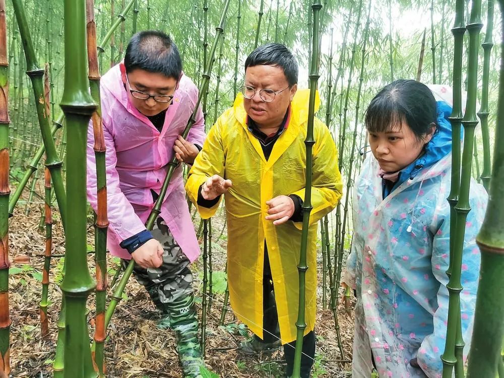 云岭最美科技人 | 董文渊的"筇竹人生"