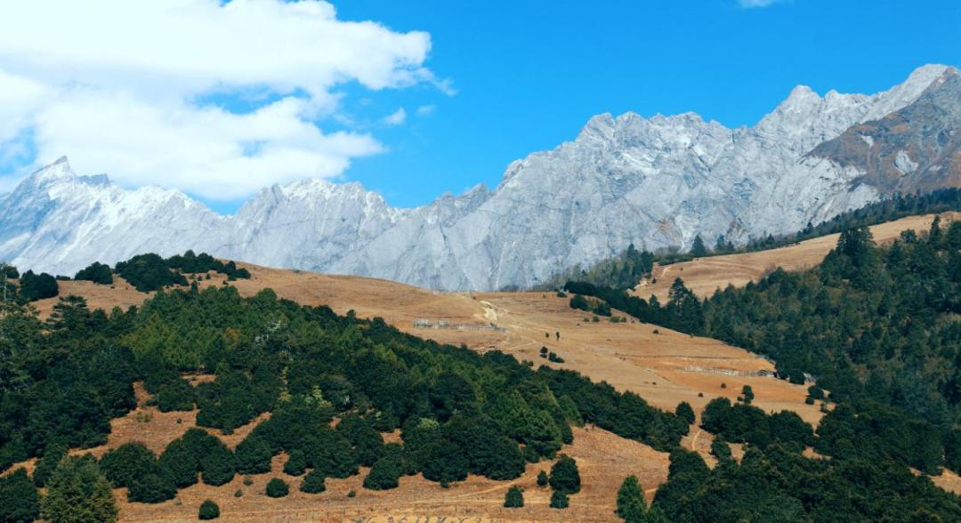 虎跳峡镇东坡村老药山,你去过吗?这里风景如画,不要错过!