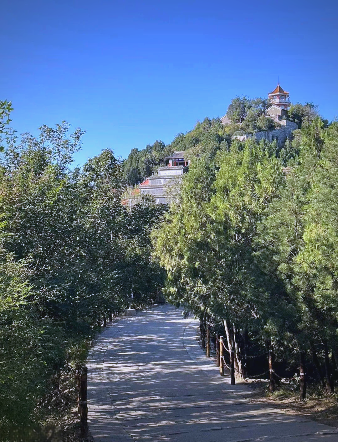 探秘百望山森林公园:京城美景尽收眼底