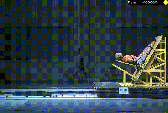 GIF.gif