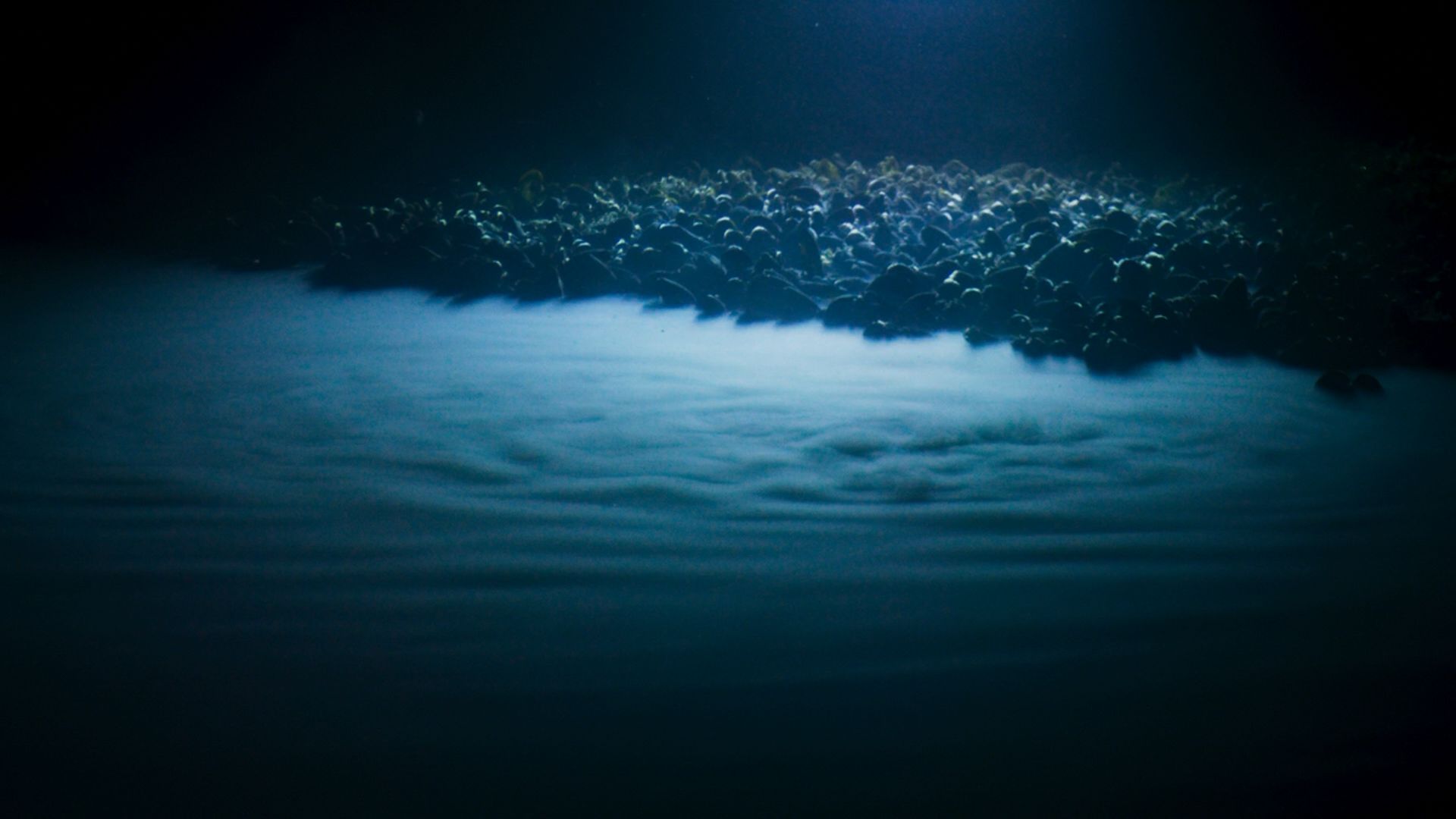 海底一万米到底有多么恐怖?胆大的潜水员看到都害怕