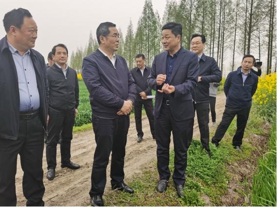 张孝成赴寿县督导小麦赤霉病防控工作时强调强化底线思维 压紧压实责