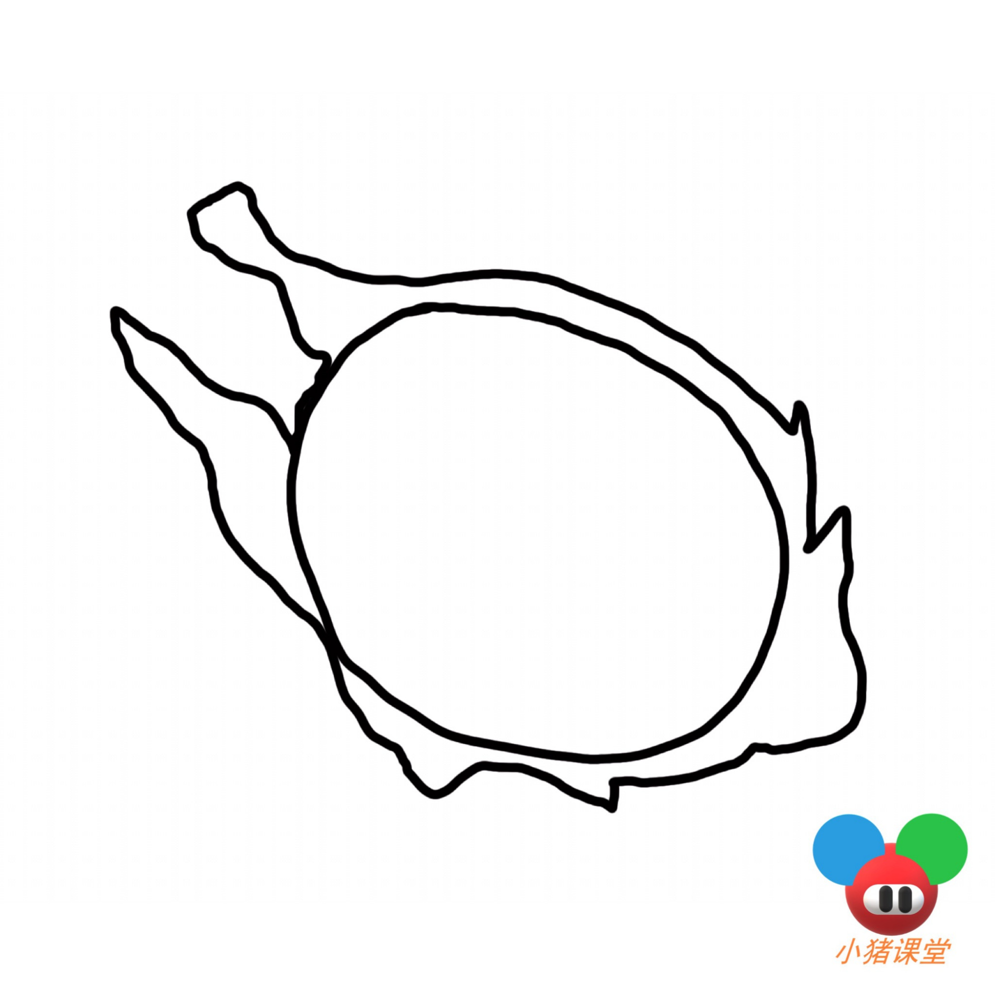 简笔画步骤图教学:生活中常见的水果火龙果怎么画?6步轻松学会