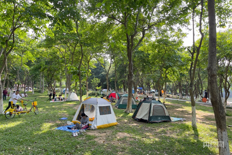 广州将实行公共休闲场地安全管理新规,公园步行街等地电动自行车全天