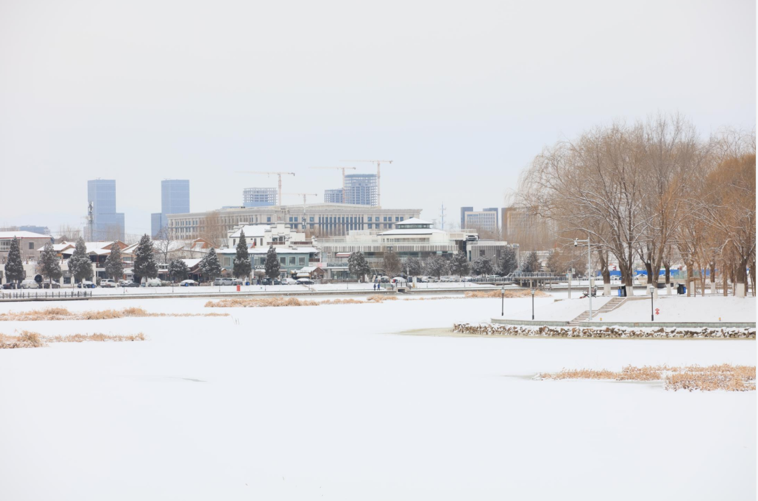 翩跹初雪至瑞雪兆丰年后沙峪勾勒醉美雪景