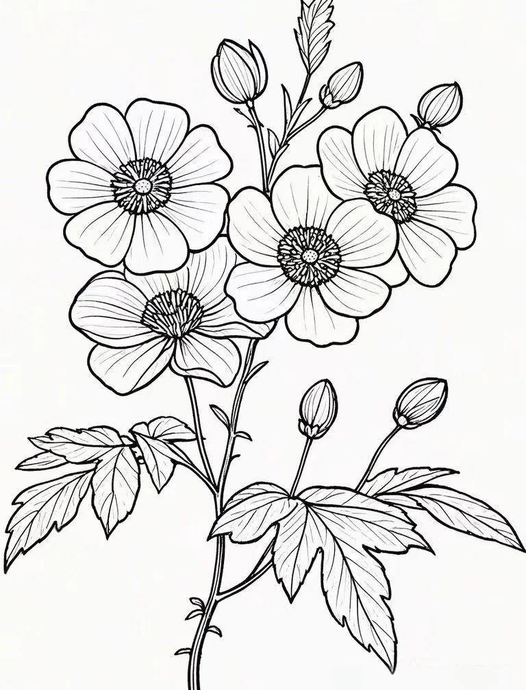 多种花卉的简笔画线稿及涂色技巧,可直接打印黑白素材