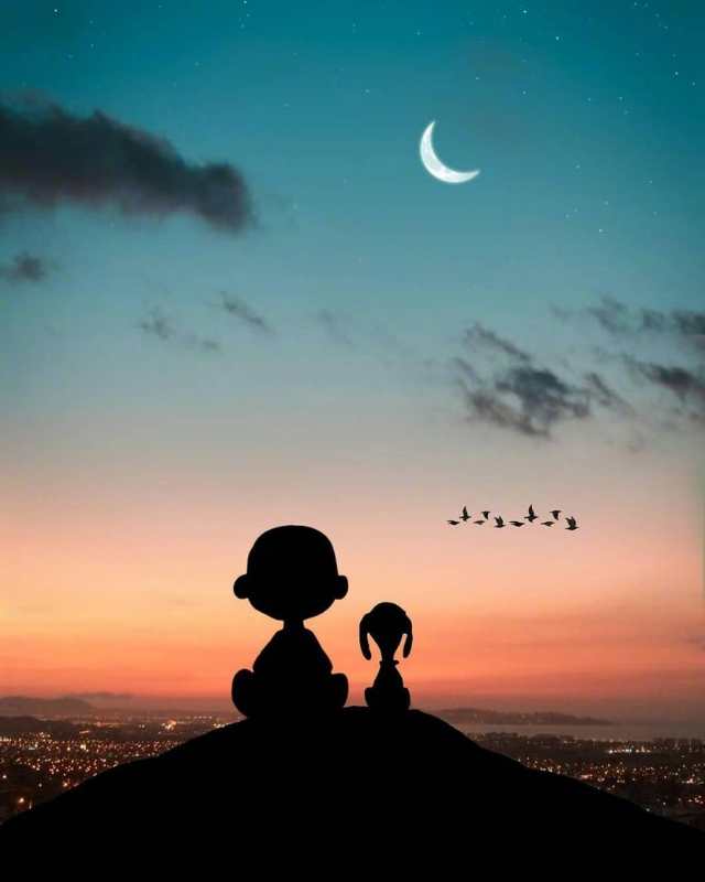 15个全网最丧的句子,句句揪心,哪一句戳中你心底?