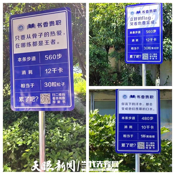 打卡去!贵阳职业技术学院"书香贵职"网红步道路牌上线
