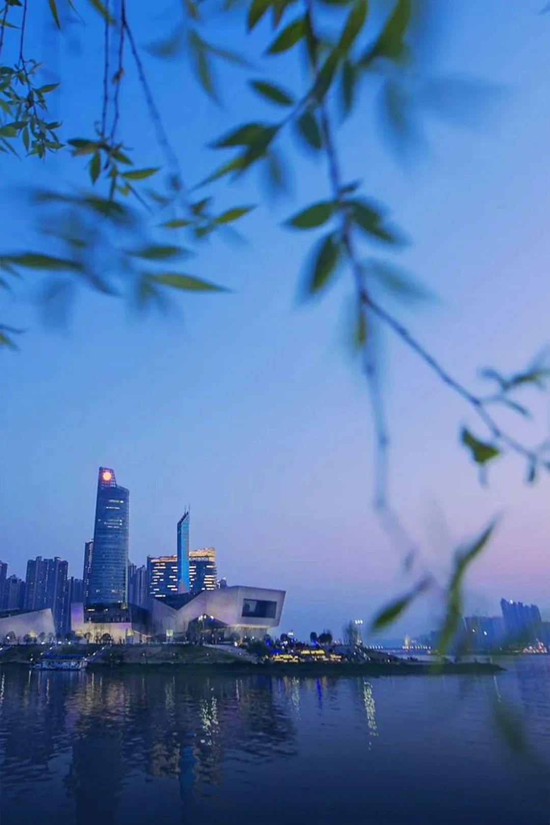 九九八十一张图量大管饱看长沙