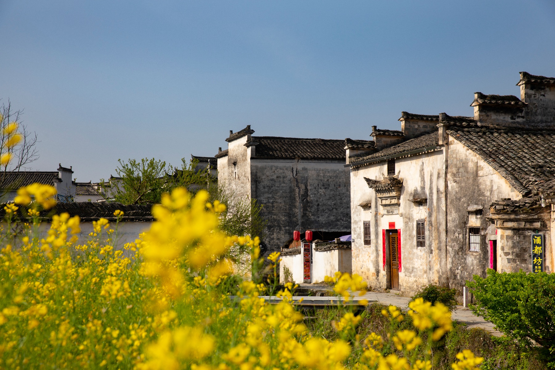 黟县屏山风景区图片图片