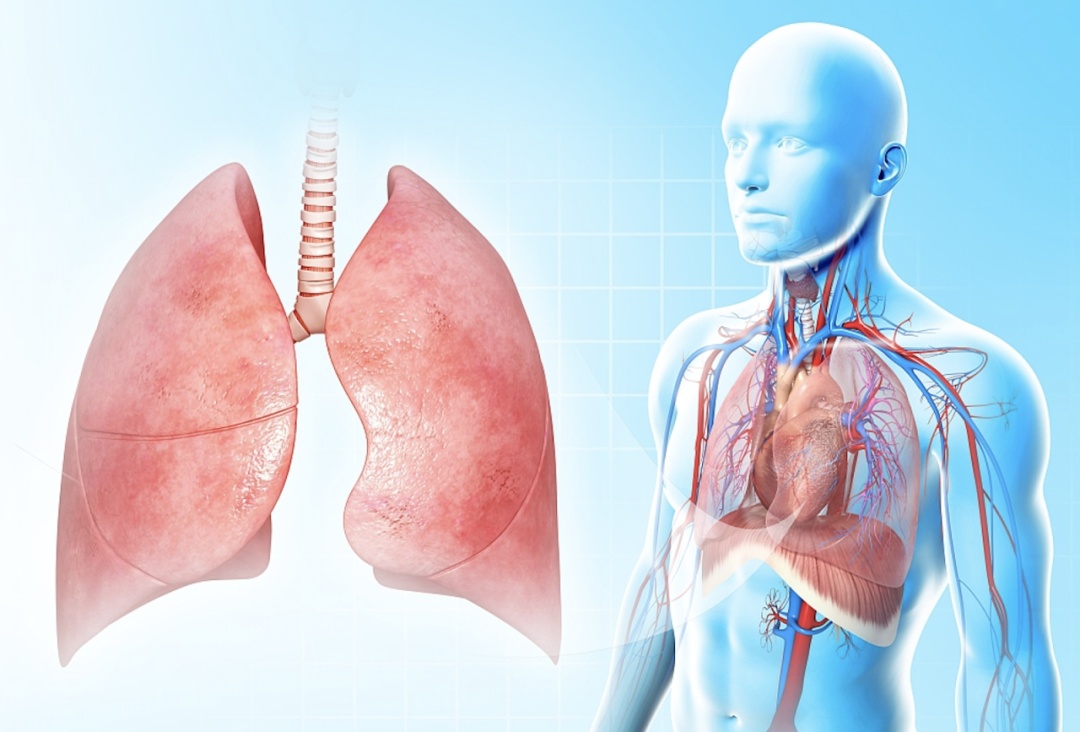 心肺功能好,某些癌症风险更低?学会这么做帮你轻松强心肺 | 微健康