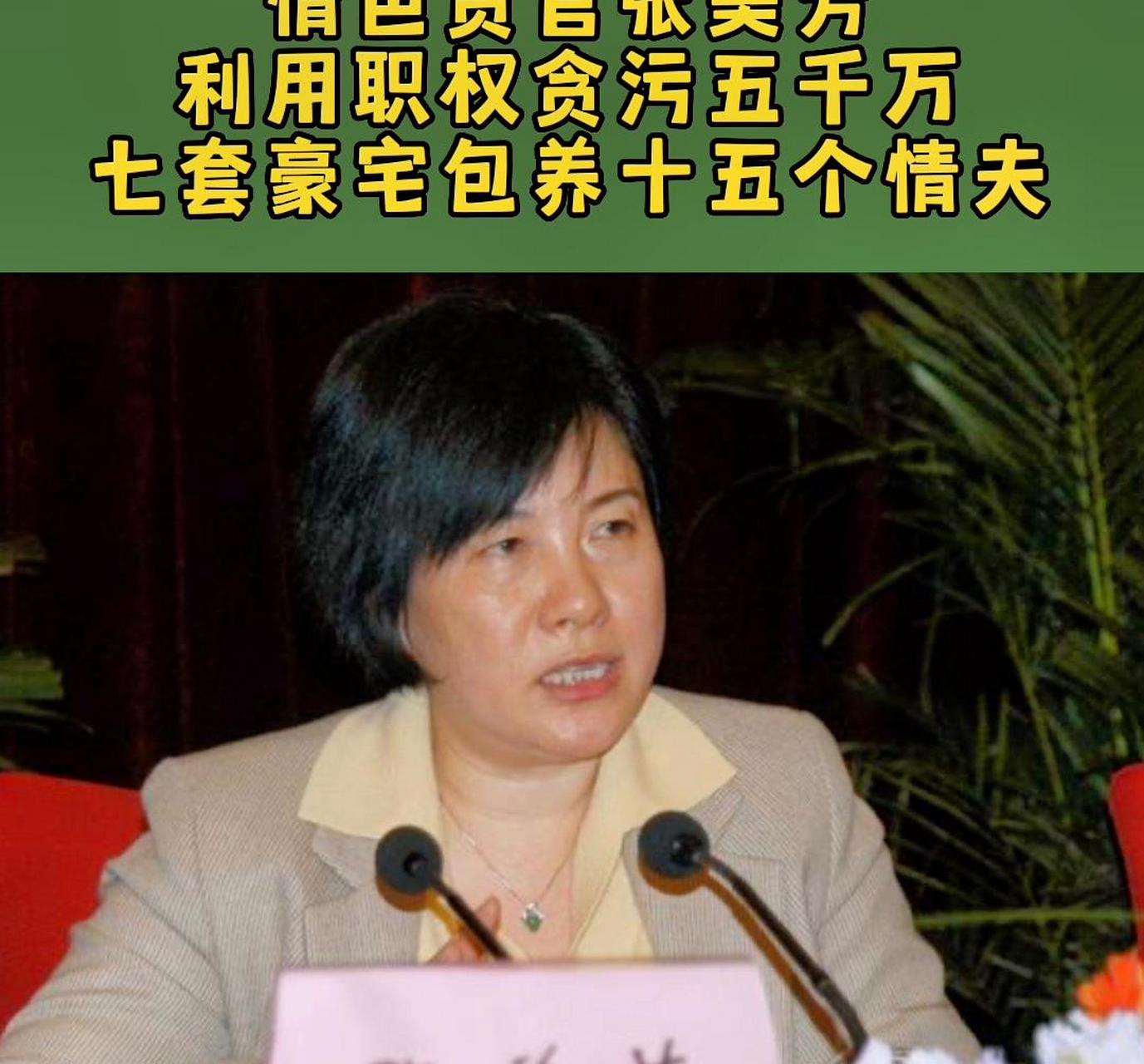 张美芳,最美女厅长张美芳高升后开始堕落(2/3).