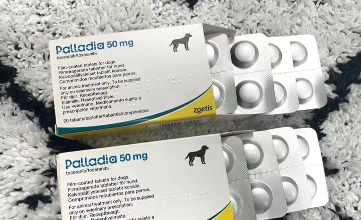 宠物癌症靶向药帕拉丁(palladia)