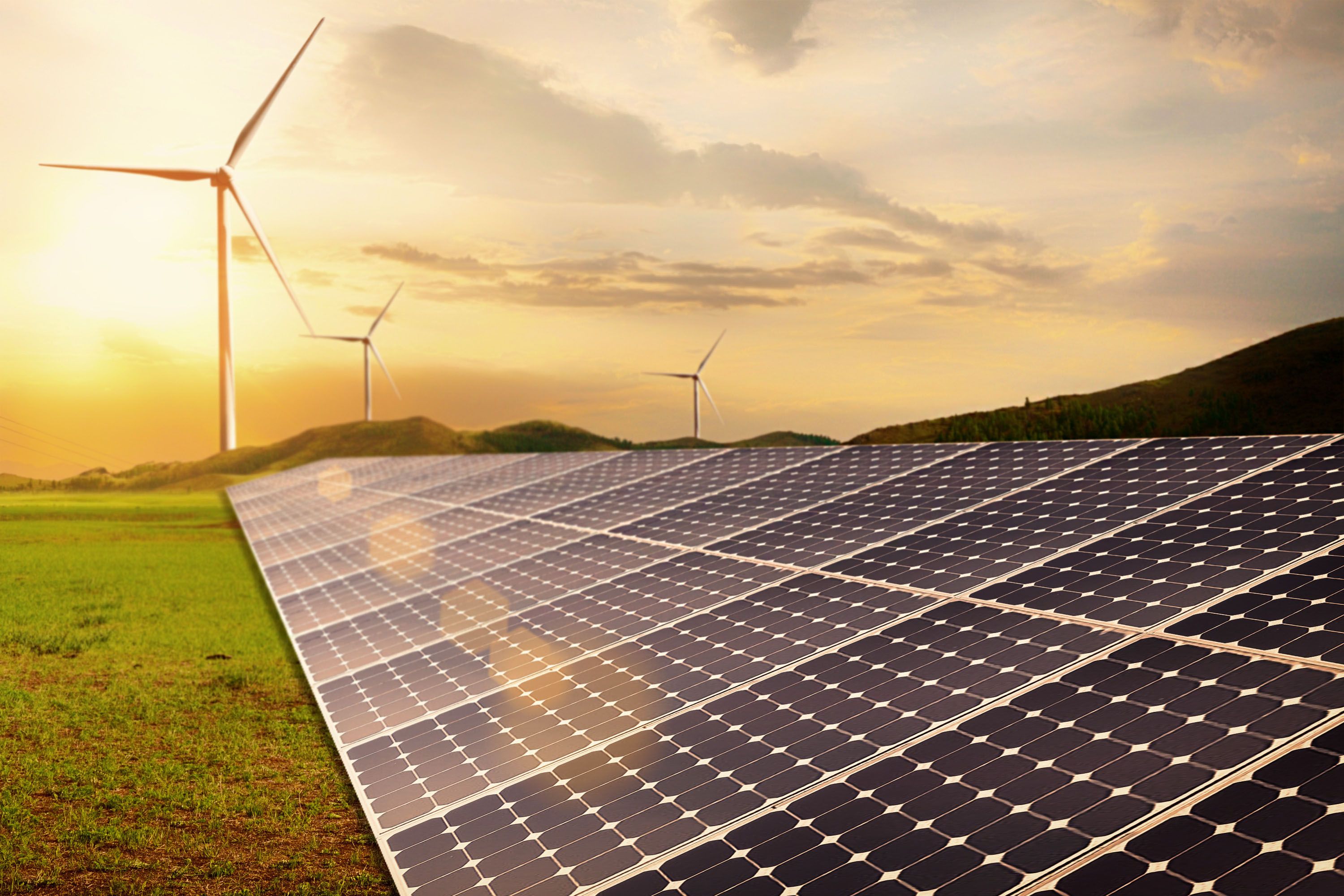 光伏农业崭露头角:农田变身太阳能发电场