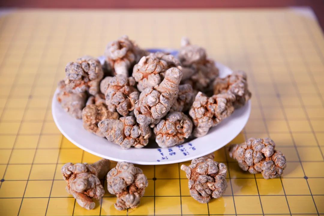 西洋参 三七,阴阳平衡,化瘀通络,保心护心!