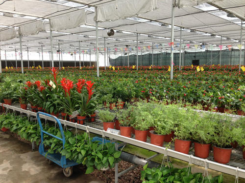 上海浦东新区苗木花卉交易市场升级改造再利用项目申请备案报告书