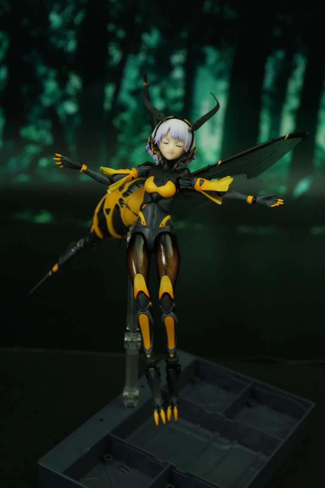 蜗之壳 黄蜂娘嗡酱 开箱分享