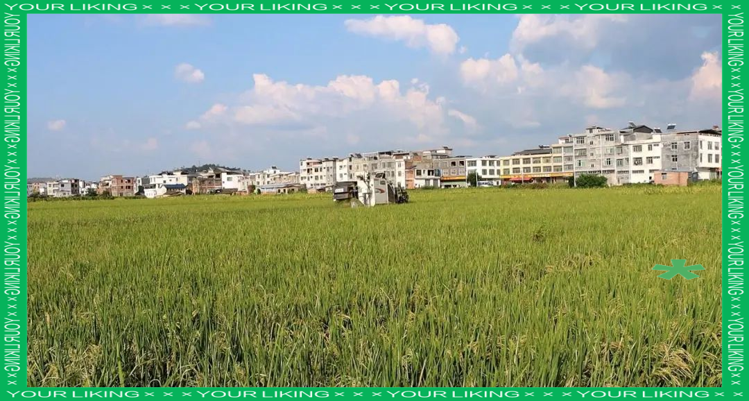 安远县孔田镇探索农业生产"大托管"模式,引领农业新发展