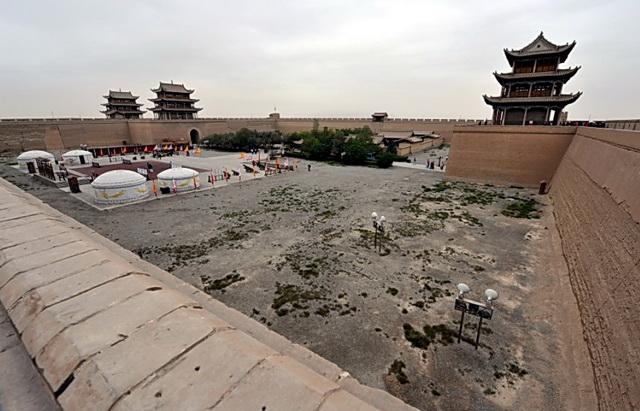 生态环境部回应"敦煌防护林被毁":将公开调查核实情况