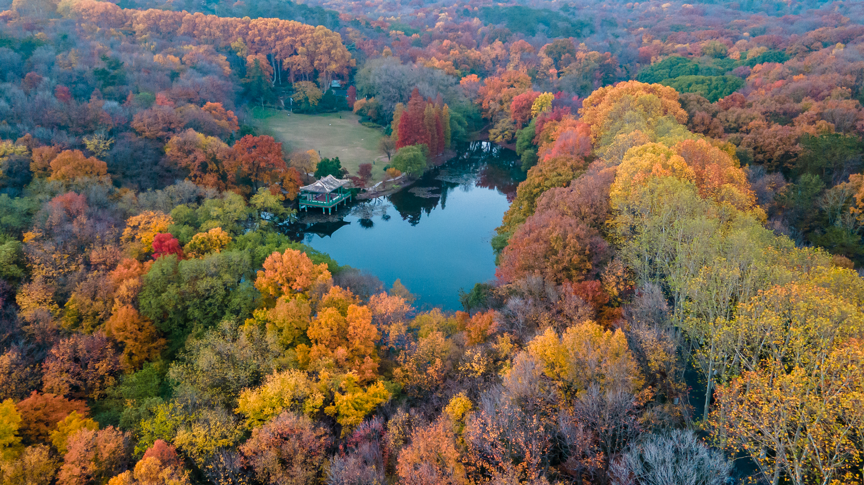 南京紫金山风景区图片