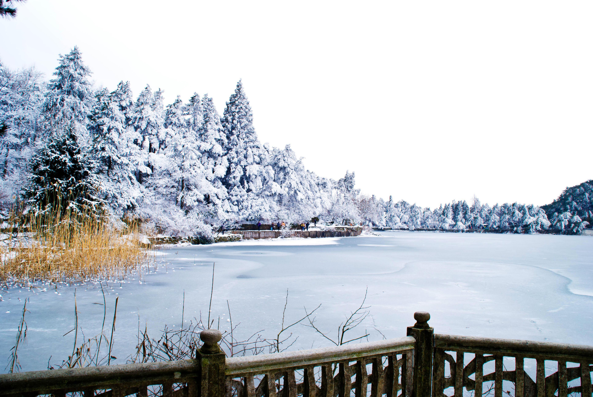 江西廬山冬季美如畫,如琴湖上游客賞雪景