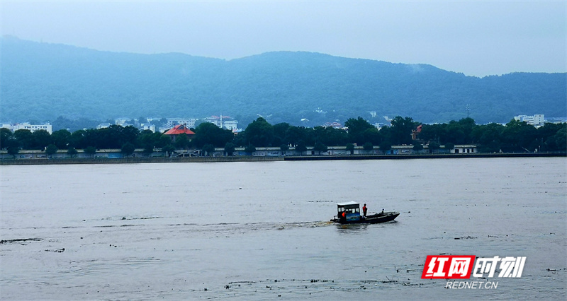 组图|风雨过后 涨水的湘江