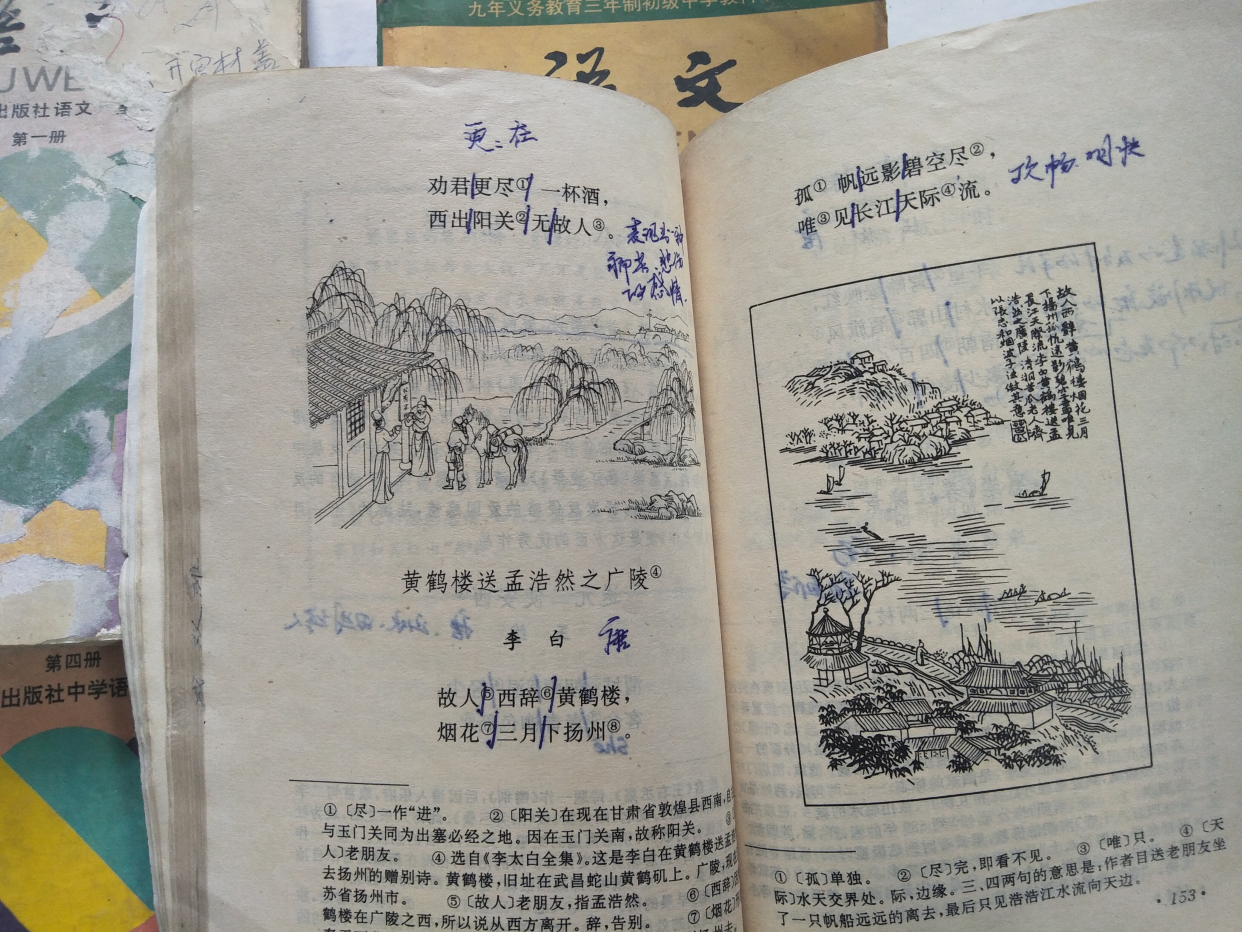 二十年前初中语文课本,八零后都还记得吗