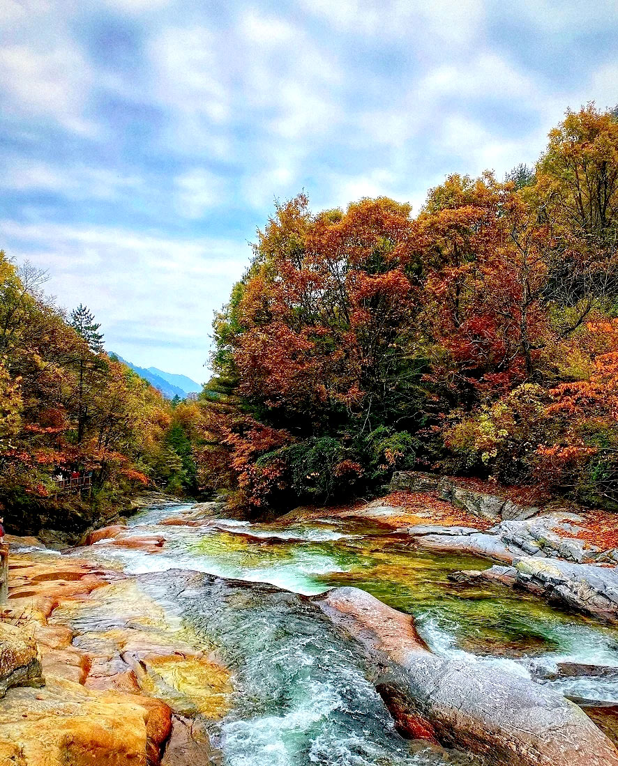 即程旅游—秋染黄柏塬红叶美景拍不完