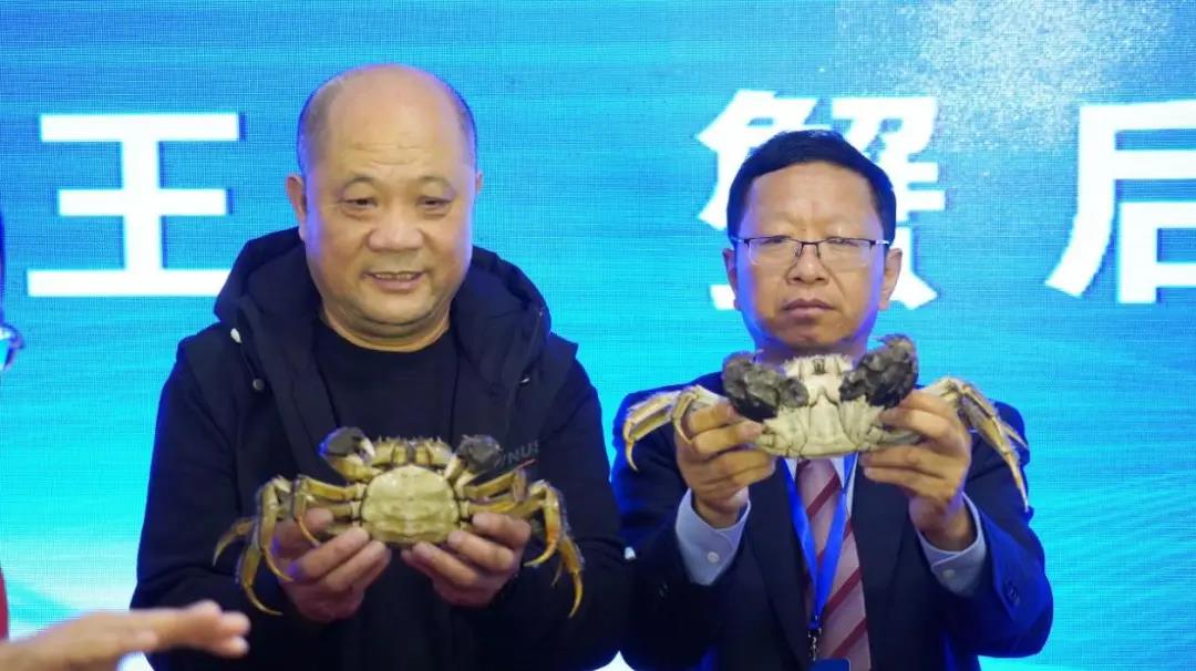 大闸蟹 热门商品专区