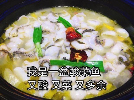 又菜又多余酸菜鱼系列微信恶搞表情包「金馆长表情包」