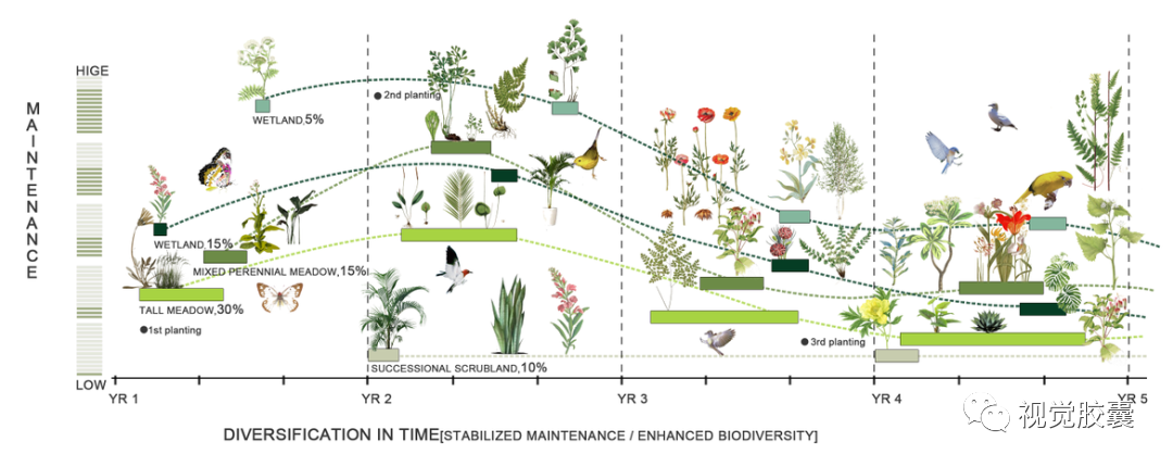 不会画植物分析图,我差点毕不了业!