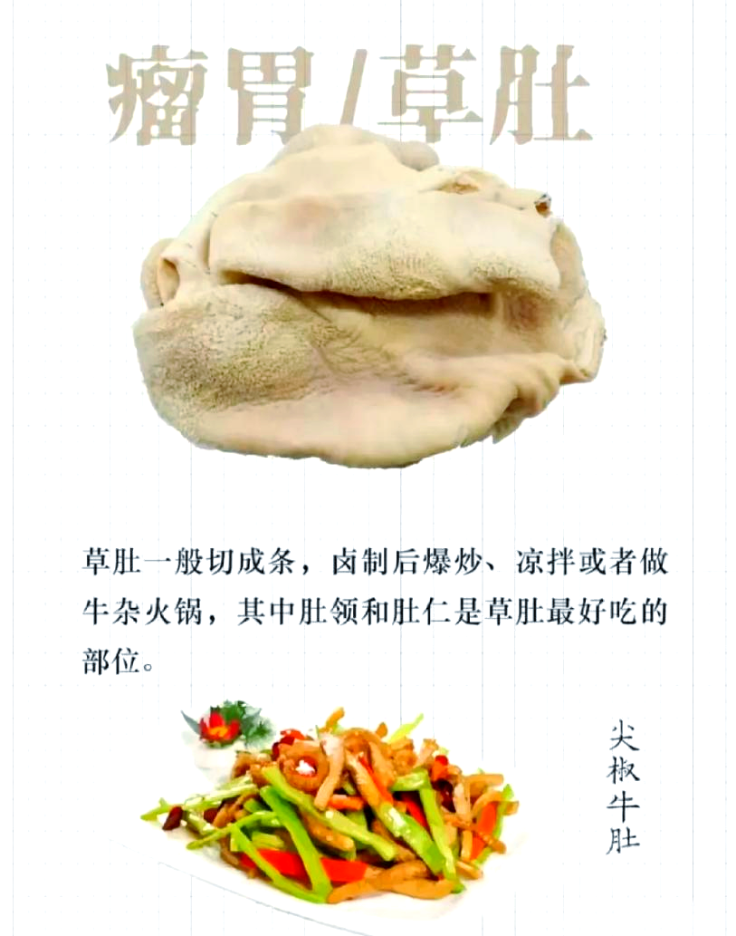 如何区分牛胃中的瘤胃、网胃、瓣胃和皱胃？各自的特点与做法是什么？