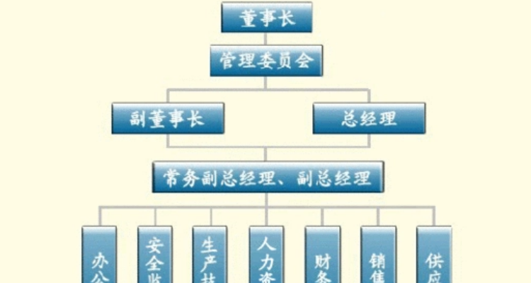 董事会成员构成