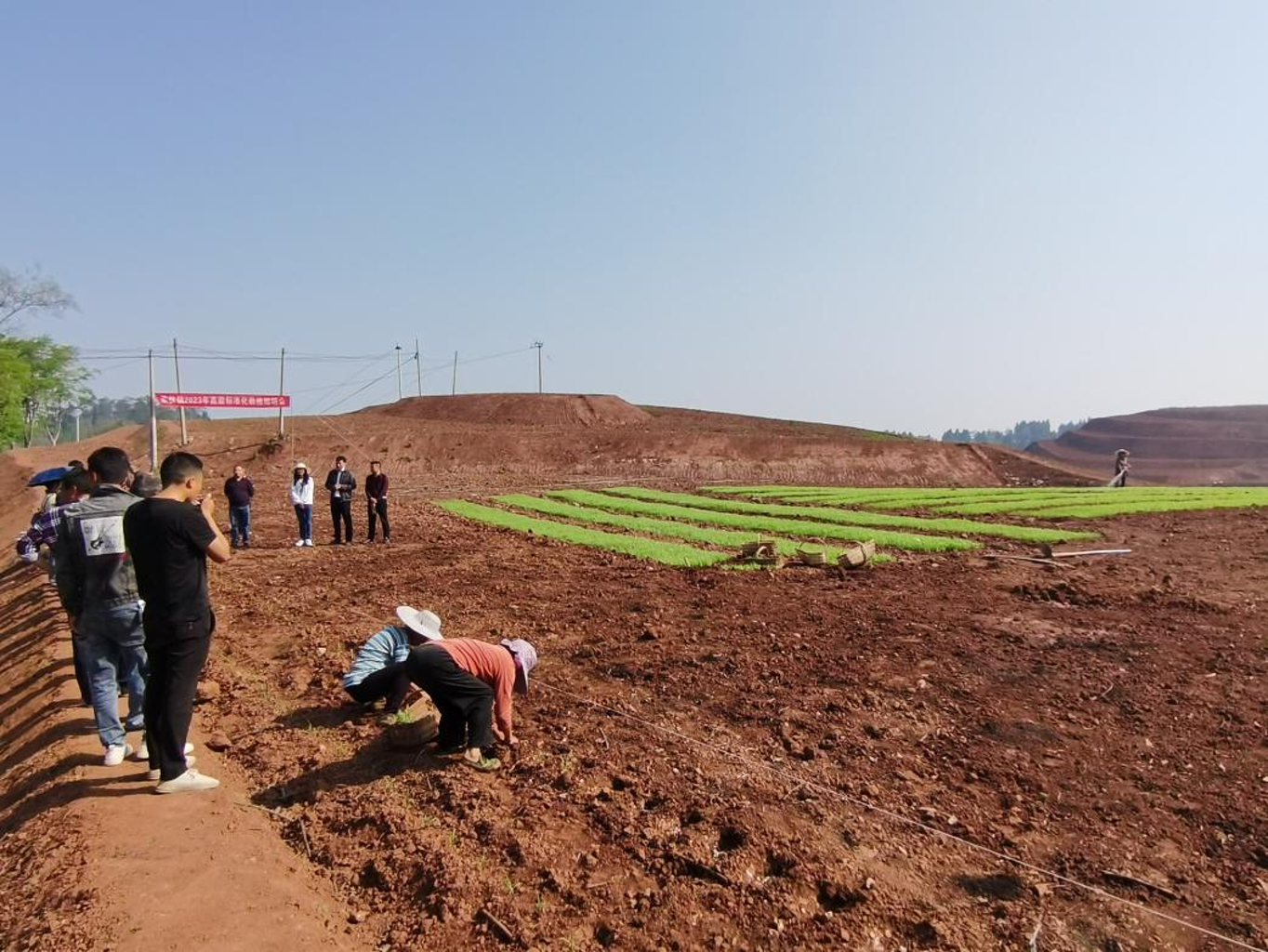 荣县东佳镇组织开展2023年高粱种植现场培训会