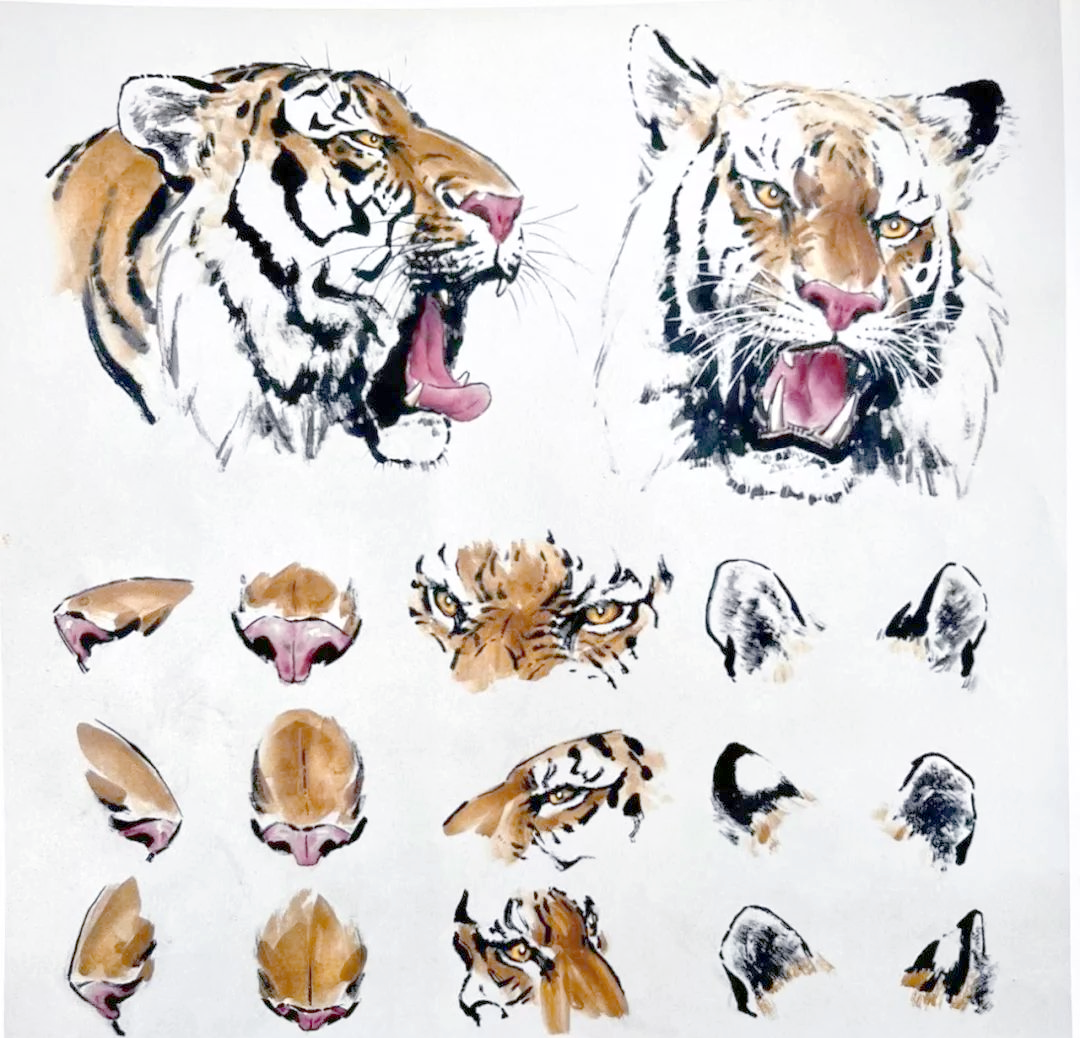 国画写意老虎的画法技巧与名画欣赏