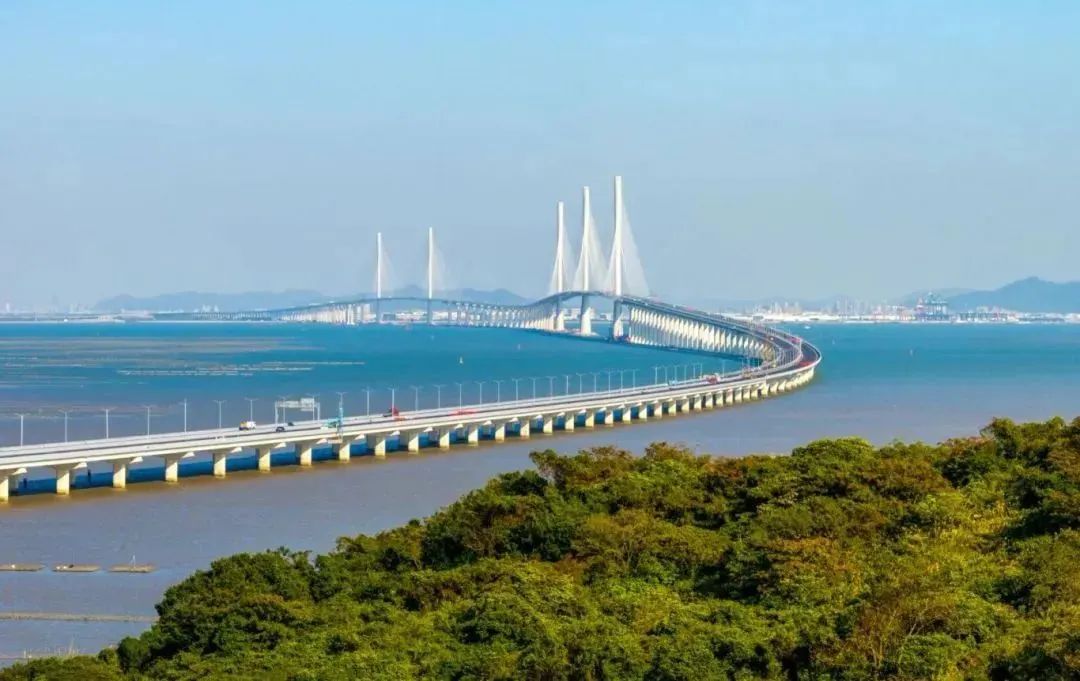 "黄茅海"贯通!看台山法院如何护航"大桥经济"