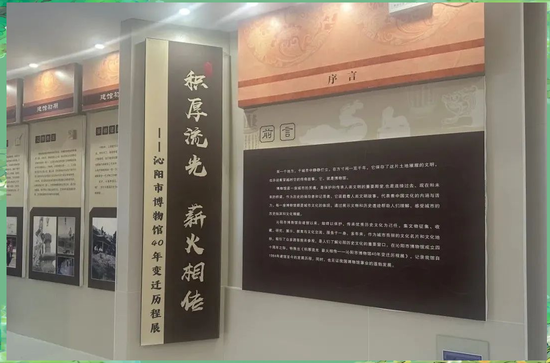 沁阳市博物馆40年:从创立到文化传承的辉煌历程