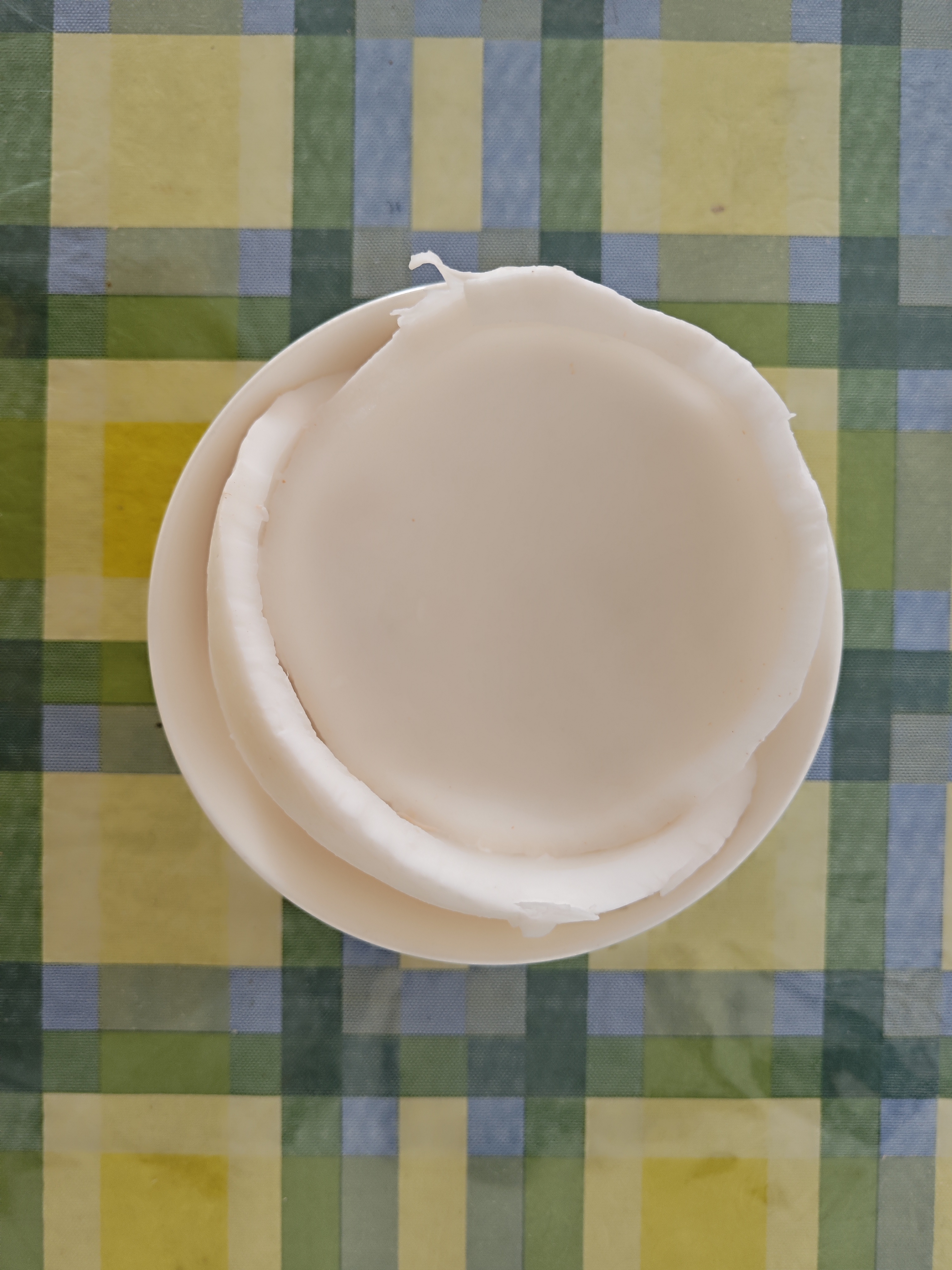 有吃有喝有知识,来解剖一个椰子体验一下吧