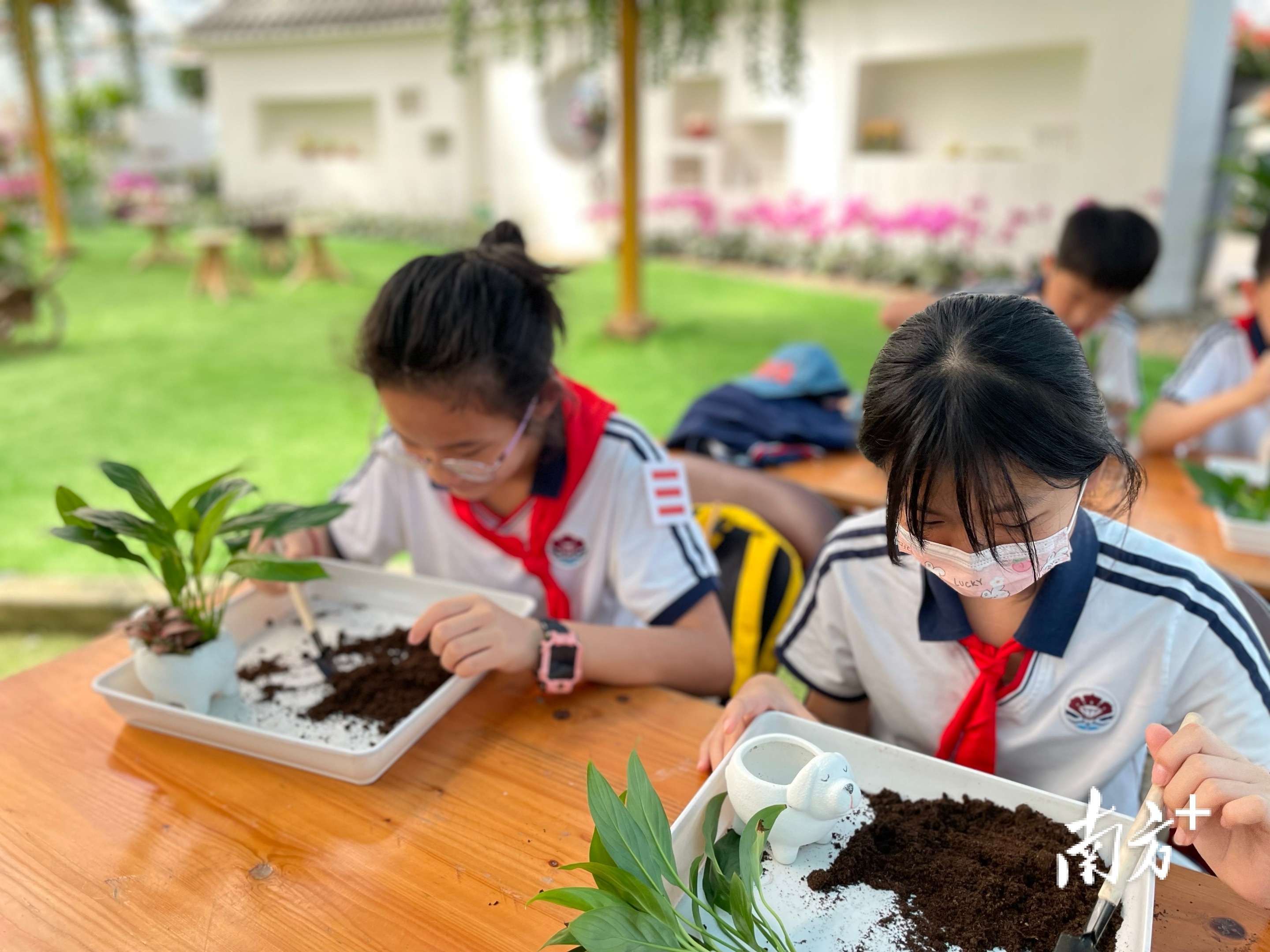 有意思!廣州這所小學的勞動課