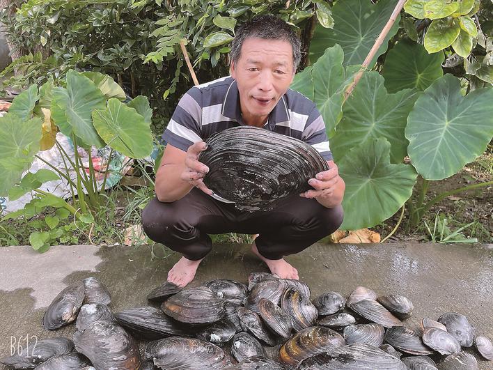 居民刨出100多个河蚌,最重的7斤