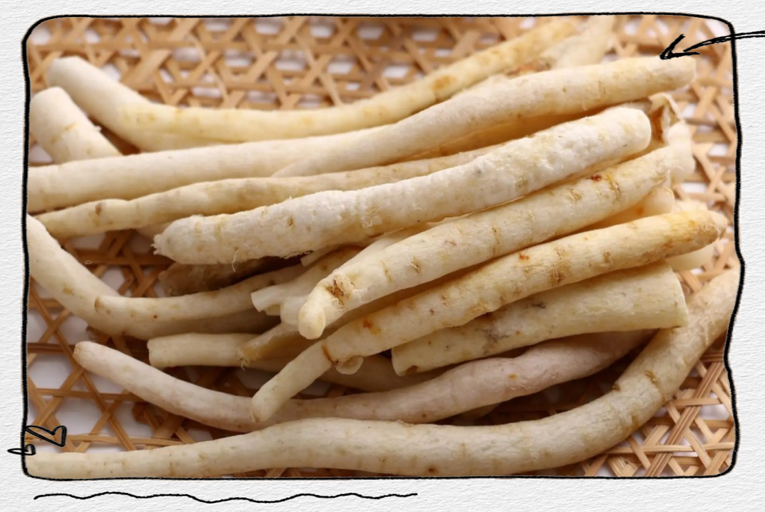 中药沙参:养阴清肺,兼顾养胃的良药