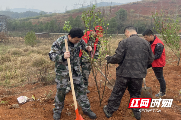 永兴县悦来镇图片