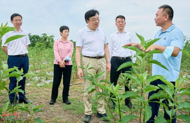 冯飞调研乡村振兴联系点文昌市公坡镇水北村