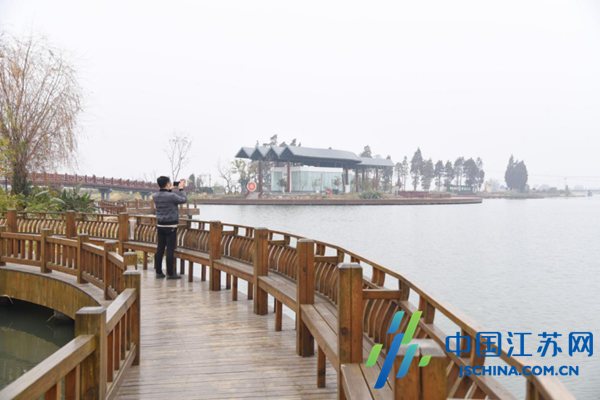 兴化海南镇:"镇村 乡贤"点亮乡村旅游