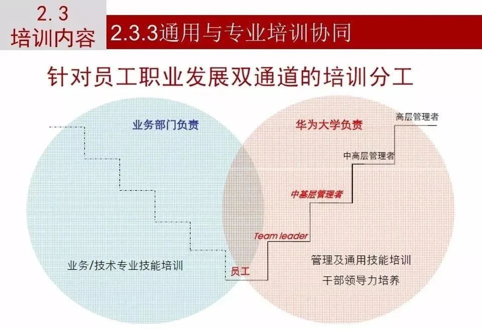 图解华为人才培养体系